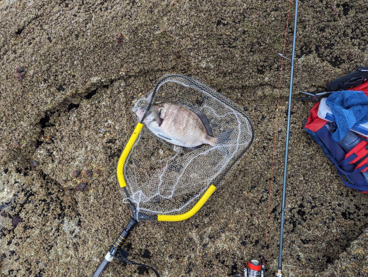 salabre-telescopique