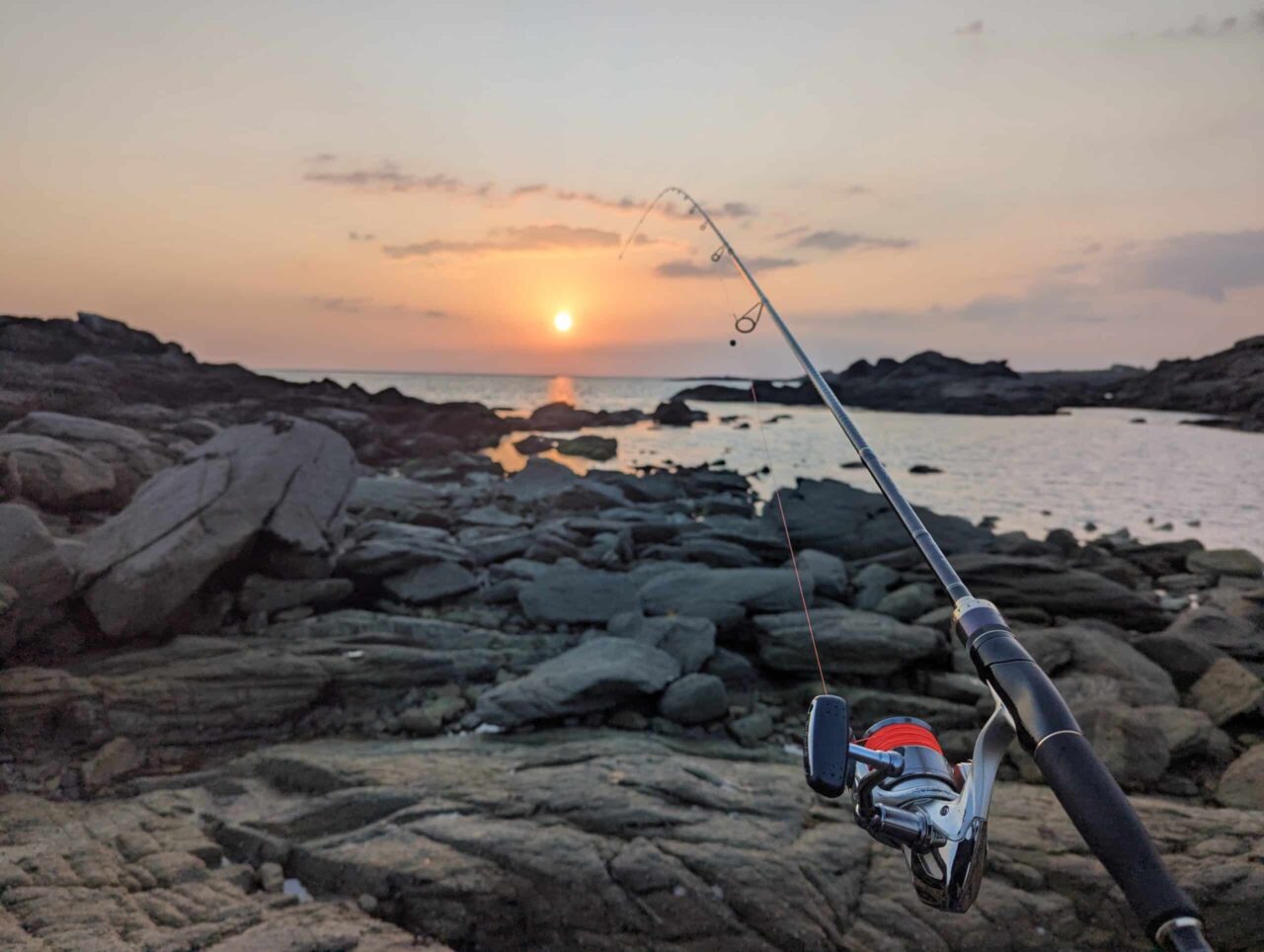 La K-One 3003 ISOTenbin de chez Pescanautic